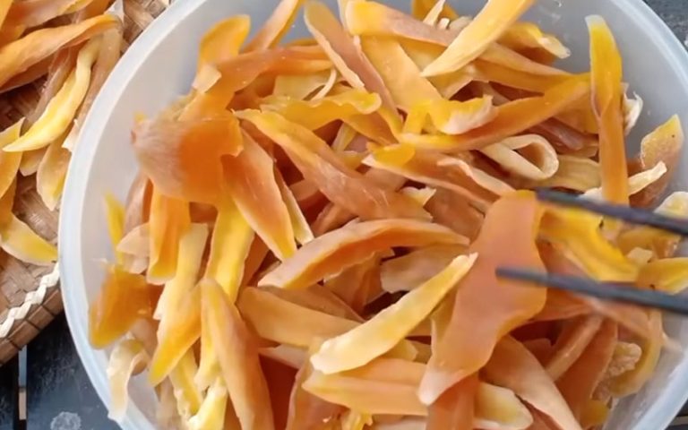 Can Rabbits Eat Dried Mango