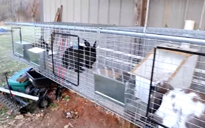 Covering Rabbit Cage