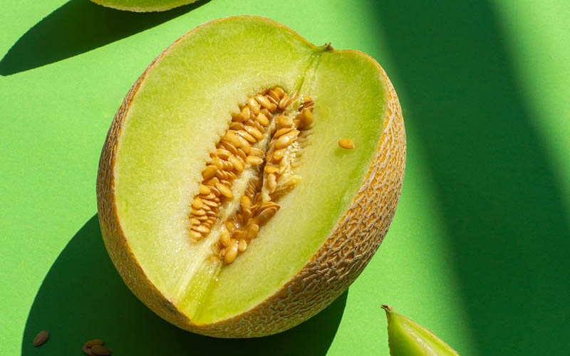 Honeydew Melon