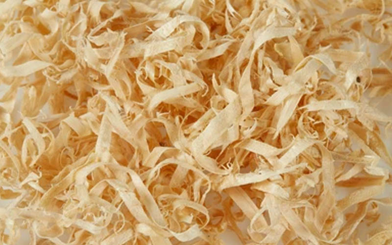 Pine Shavings