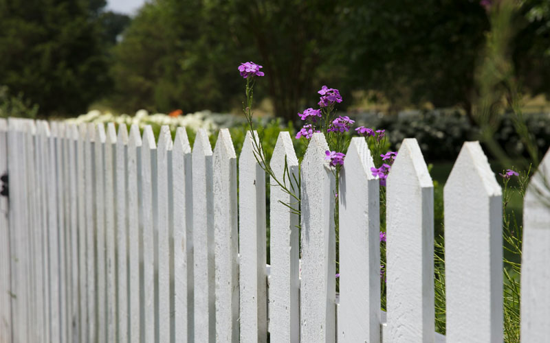Garden Fence