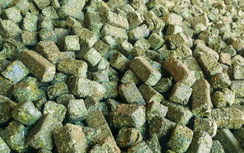 Hay Cubes
