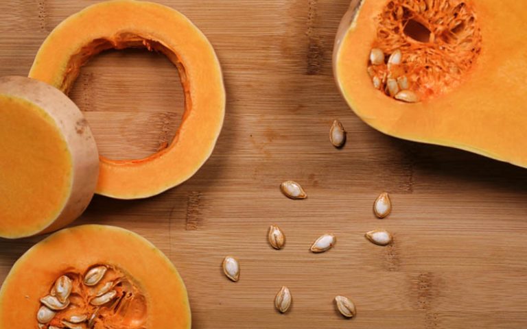 Can Parrots Eat Pumpkin Seeds