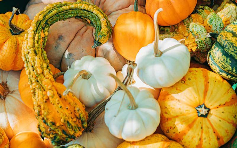 Pumpkins