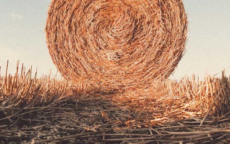 Straw