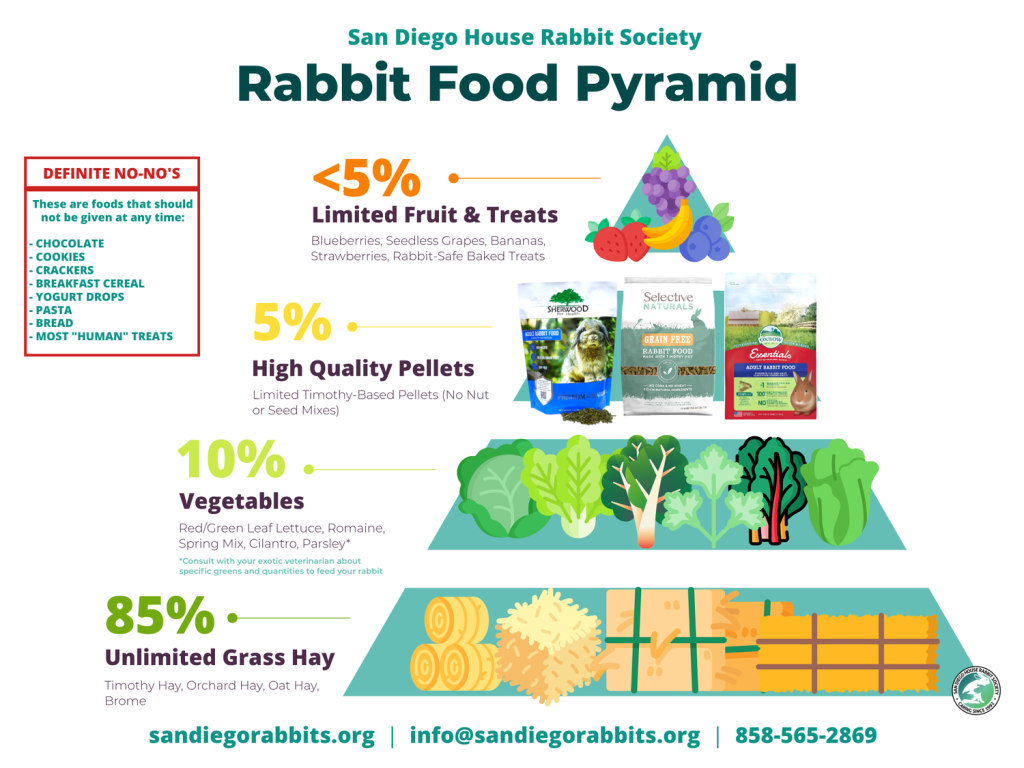 Types of Diets for Rabbits