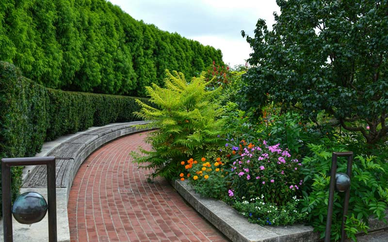 What Attracts Rabbits to Gardens