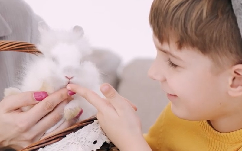 What Does Mean of Rabbit Licking