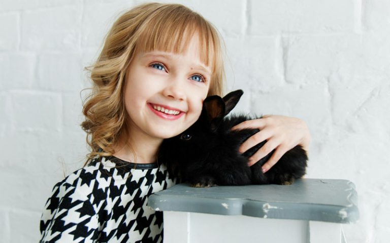 Why Are Rabbits Good Pets