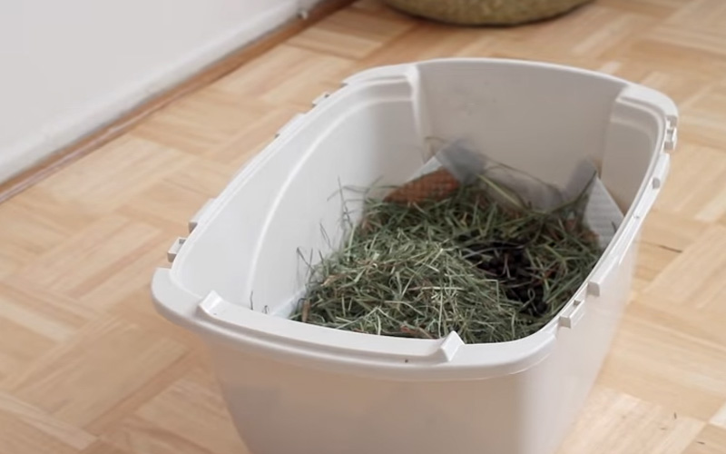 a rabbit Litter Box