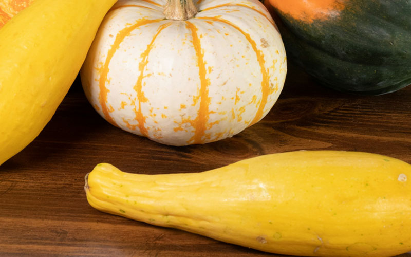 yellow squash