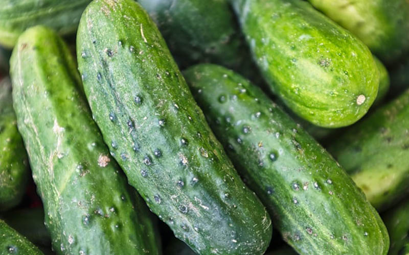 Cucumbers