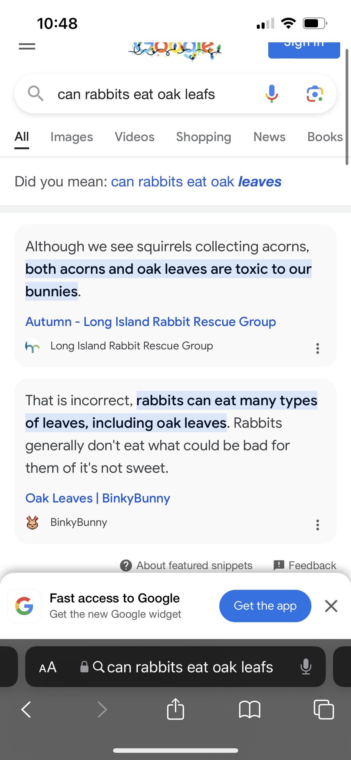 Can Rabbits Eat Acorns?