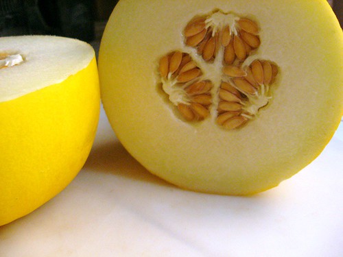 Can Rabbits Eat Honeydew?