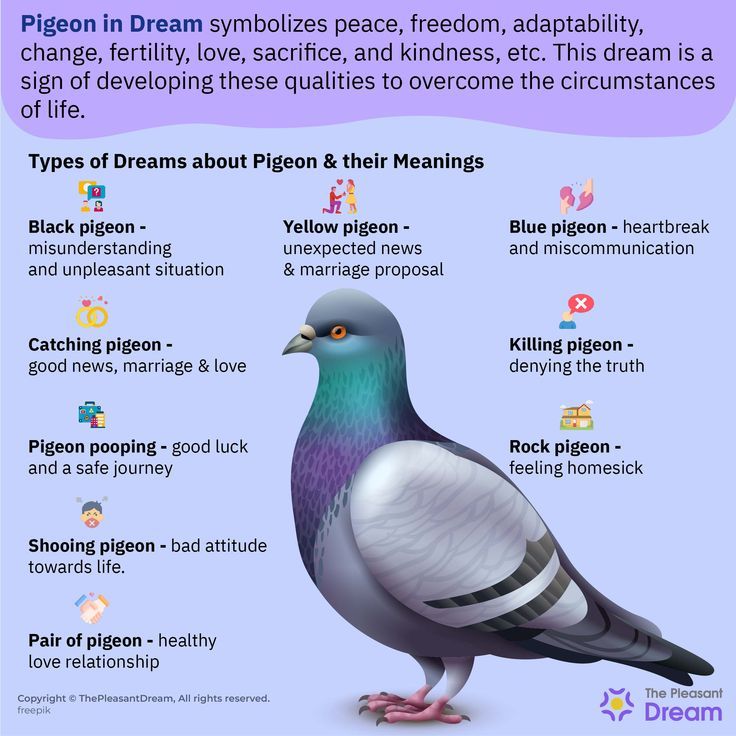 Meaning of Pigeons in Spirituality