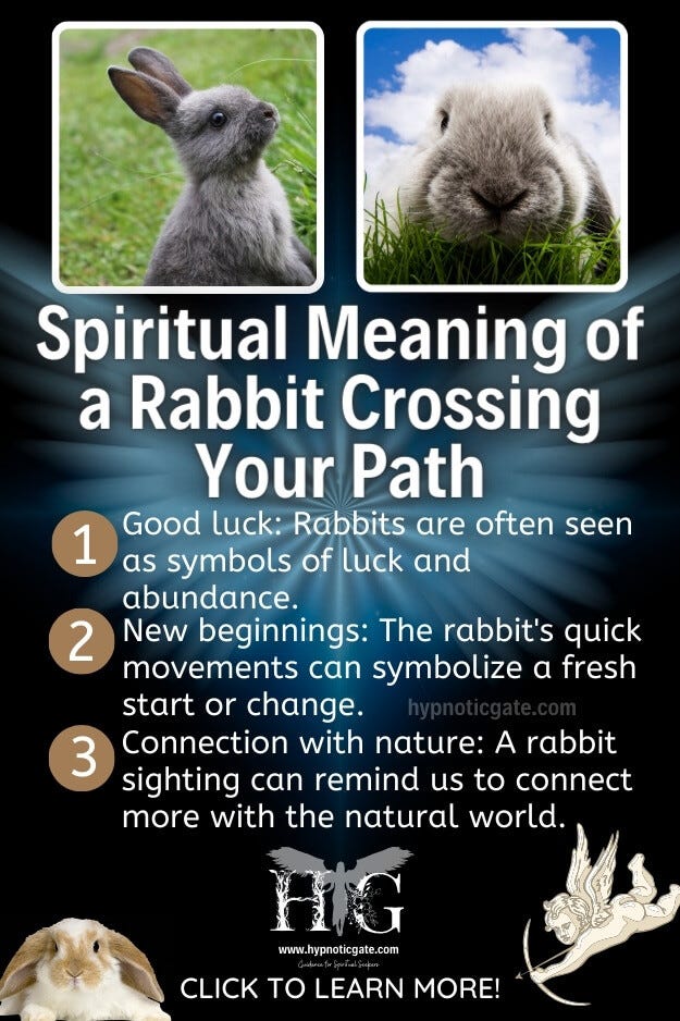 Spiritual Meaning of Rabbit Crossing Your Path