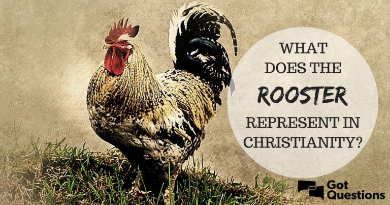 What Does a Rooster Represent