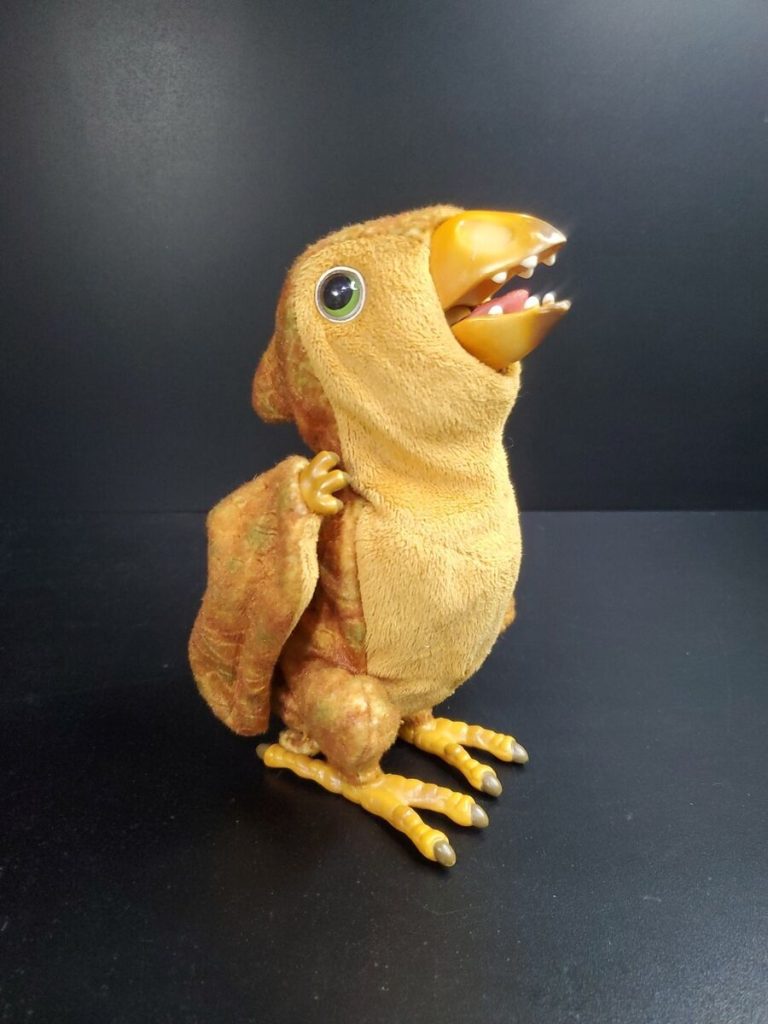 What is the Difference between a Pterodactyl And a Parrot?