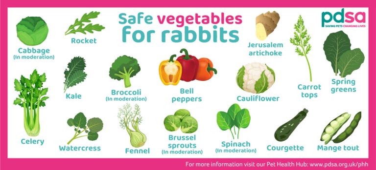 What Vegetables Can Rabbits Eat