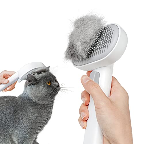 Best Brushes for Rabbits