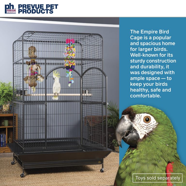 The 10 Best cages for Amazon parrots are displayed, featuring secure designs and ample space for comfort.