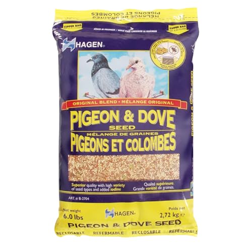 Best Food for Pigeons