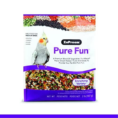 The best food for quaker parrots includes fruits, vegetables, seeds, and pellets arranged attractively.