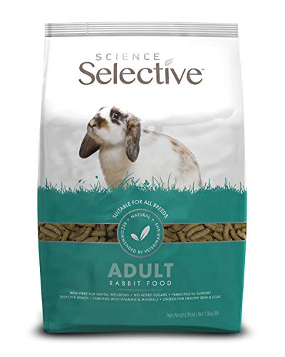 Best Food to Catch a Rabbit