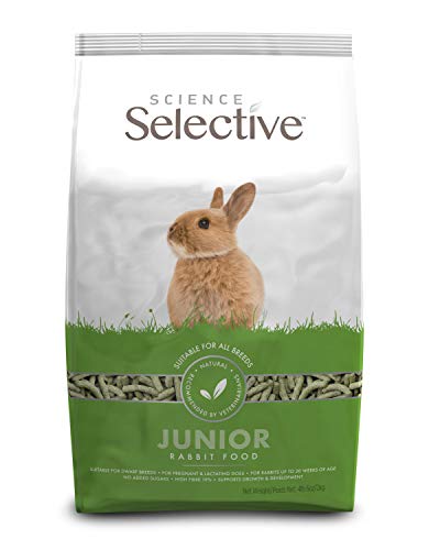 Best Herbs for Rabbit Stew
