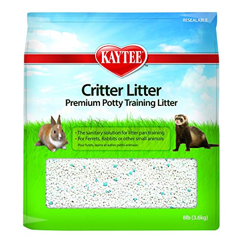 Best Litter Box for Rabbits