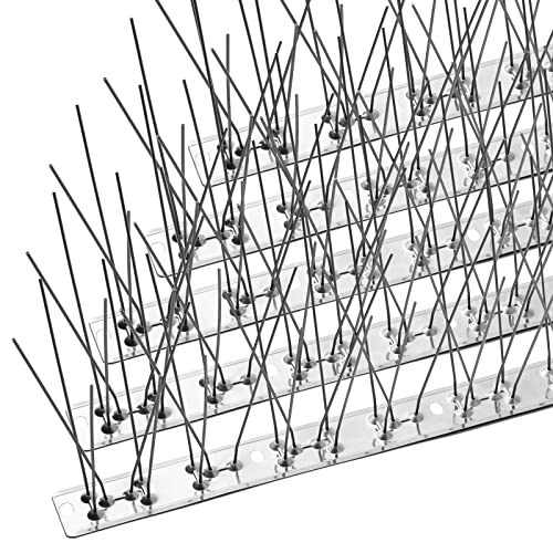 The six best pigeon deterrents for roofs are displayed in an image, including spikes, nets, and repellents.