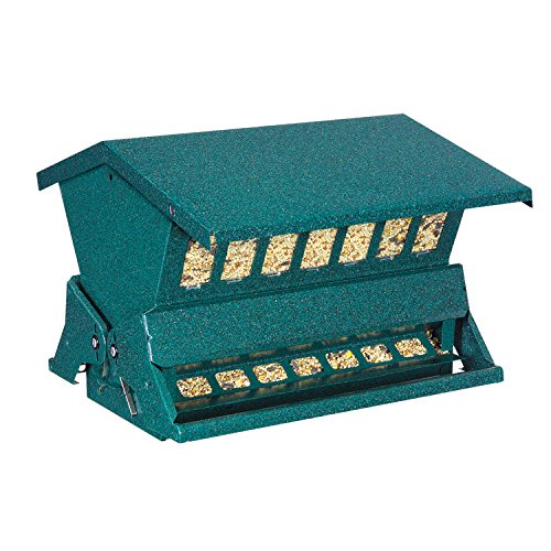 Five pigeon-proof bird feeders are displayed, each designed to deter pigeons while welcoming smaller birds.