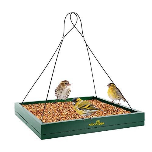 Best Platform Bird Feeder