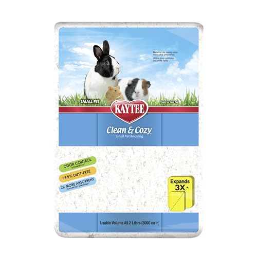 Best Rabbit Litter for Odor Control