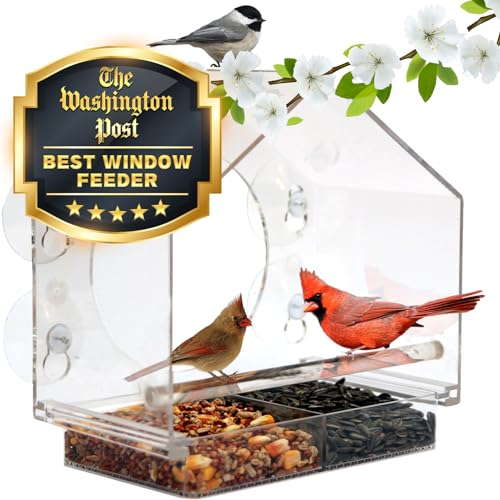 Best Rain Proof Bird Feeder