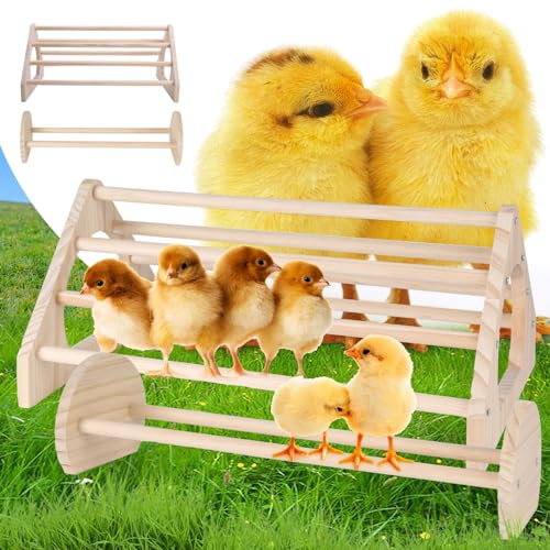 Best Roosting Bars for Chickens