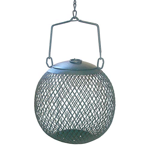 Best Sunflower Seed Bird Feeder