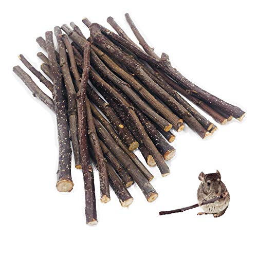 Best Wood for Rabbits to Chew