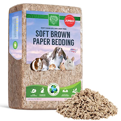 What is the Best Bedding for Indoor Rabbits