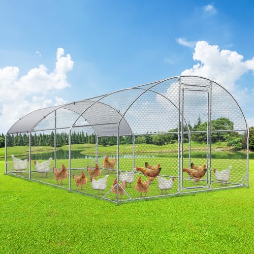 Best Chicken Coop for 6 Chickens