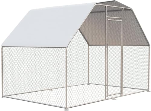Best Chicken Coops for 10 Chickens