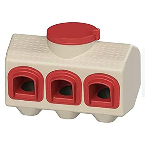 Best Chicken Feeder to Prevent Rats