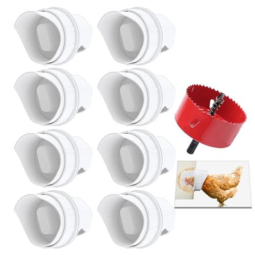 Best Feeder for Chickens