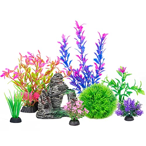 Best Live Plants for Goldfish