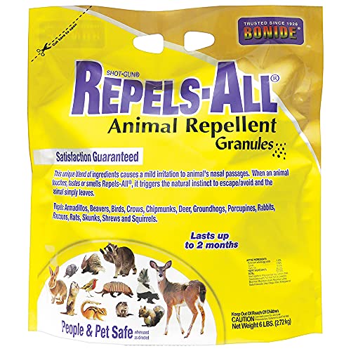 Best Rabbit And Squirrel Repellent