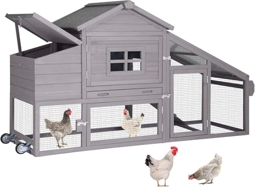 Best Top Rated Chicken Coops