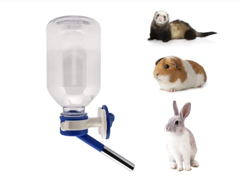 Best Water Bottle for Rabbits