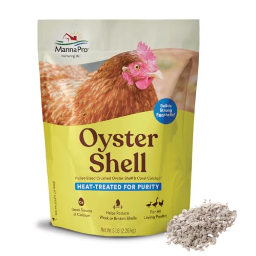 What is the Best Chicken Feed for Laying Eggs