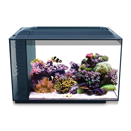 Best All in One Saltwater Aquarium Kit