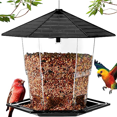 Best Bird Feeder for Humans